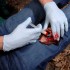 Аппликатор гемостатический с гранулами Rhino Rescue в Зеленограде хитозановый