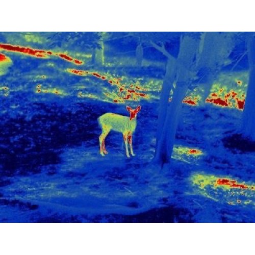 Прицел тепловизионный GUIDE TS450 в Зеленограде